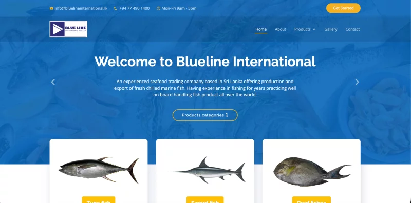 Blue Line International website homepage