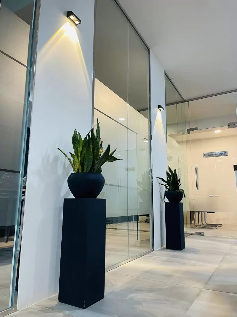 Glass meeting rooms and interior plants in the new office